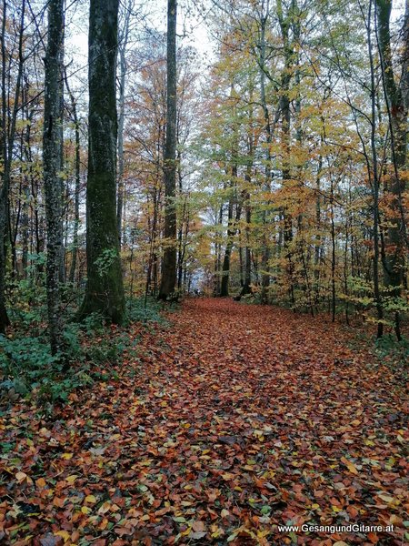 Friedwald Heiligenberg Baden Württemberg Trauerfeier Beerdigung Verabschiedung Vorarlberg Musik Kirche Trauersängerin Sängerin mit Gitarre www.trauer-musik.at www.gesangundgitarre.at Gesang Gitarre Yvonne Brugger Trauersängerin Kirchensängerin