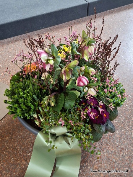 Kirche St. Sebastian Hard Vorarlberg Verabschiedung Trauerfeier Beerdigung Verabschiedung Totenwache Musik Kirche Solomusikerin Sängerin mit Gitarre www.trauer-musik.at www.gesangundgitarre.at Gesang Gitarre Yvonne Brugger Trauersängerin Kirchensängerin Kirche Trauerfeier Beerdigung Verabschiedung Vorarlberg Musik Kirche Sängerin mit Gitarre www.trauer-musik.at www.gesangundgitarre.at Gesang Gitarre Yvonne Brugger Trauersängerin Kirchensängerin